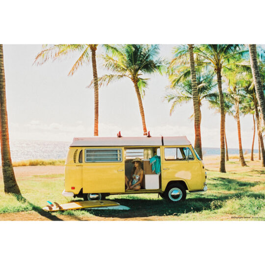 Cinestill 50 Daylight Kleinbeeldfilm - 135/36 - Afbeelding 3