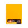 Kodak Professional Ektar 100 | 4×5″ Vlakfilm – 10 sheets