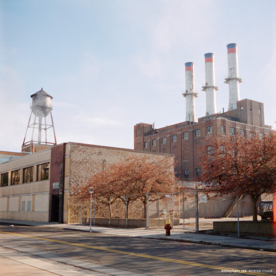 Alternative view of Cinestill 50 Daylight - Rolfilm 120