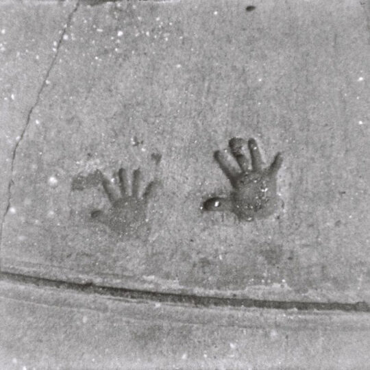 Alternative view of Lomography B&W Orca - 110 Pocketfilm