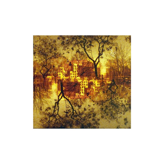 Alternative view of Lomography Lobster Redscale | 110 pocketfilm | ISO 200