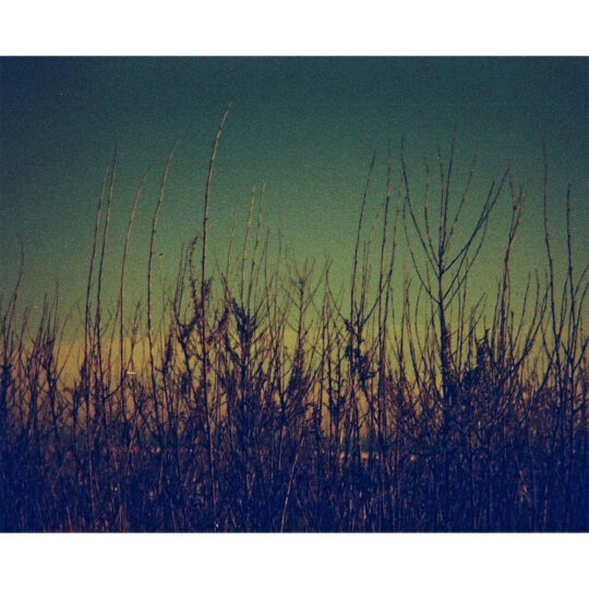 Lomography Lobster Redscale | 110 pocketfilm | ISO 200 - Afbeelding 4