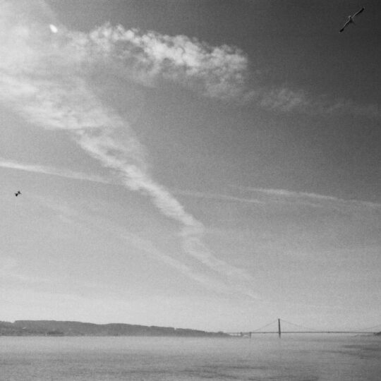 Cinestill Df96 Monobath