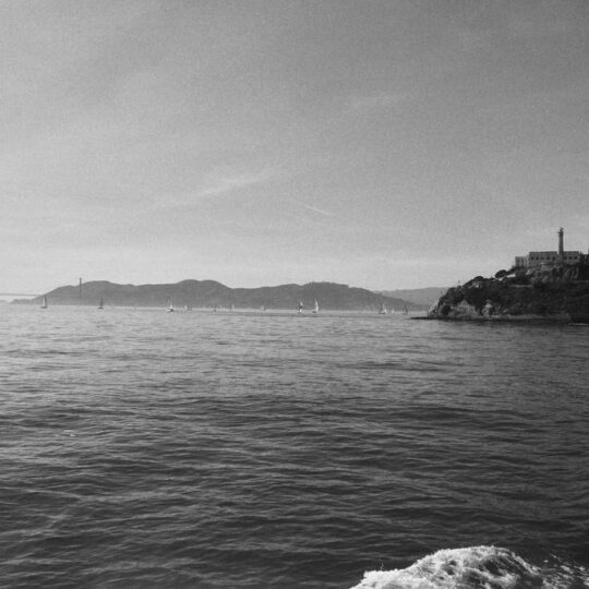 Cinestill Df96 Monobath