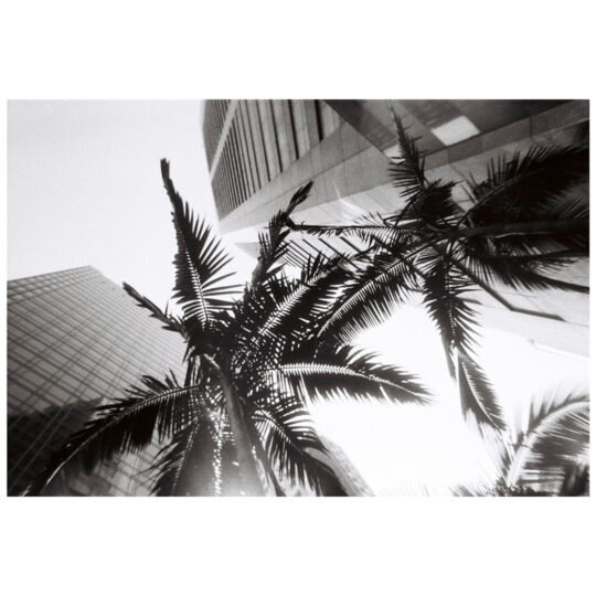 Alternative view of Lomography Simple Use Reloadable Film Camera - Black & White 400
