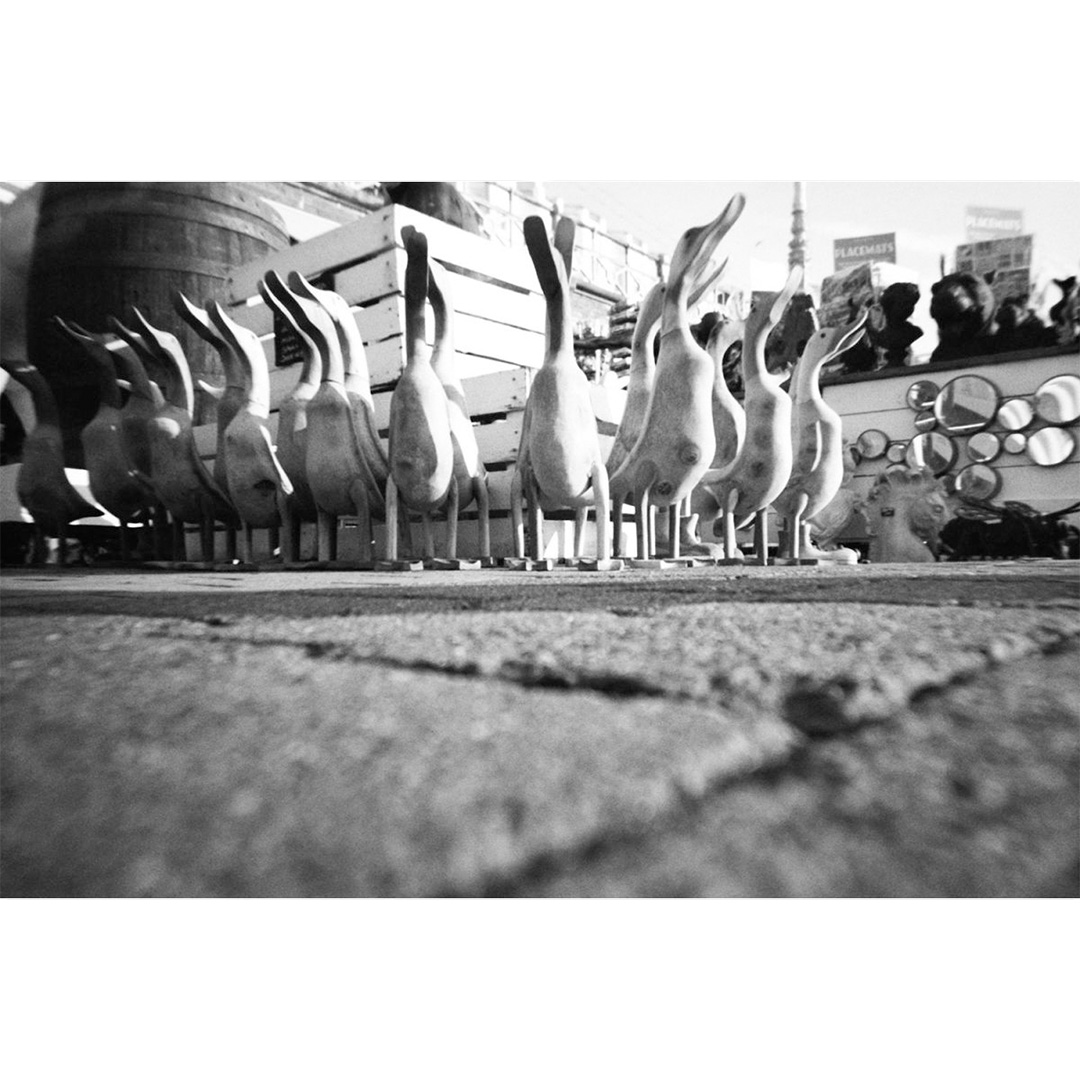 Lomography Simple Use Reloadable Film Camera - Black & White 400 - Afbeelding 5