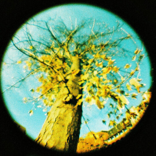 Lomography Peacock X-Pro Slide 200 | 110 kleurenfilm | FotoFilmFabriek | Het Magazijn Dordrecht