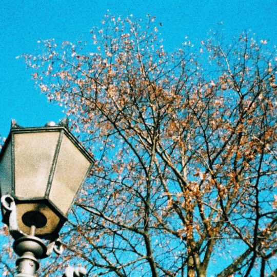 Lomography Peacock X-Pro Slide 200 | 110 kleurenfilm | FotoFilmFabriek | Het Magazijn Dordrecht