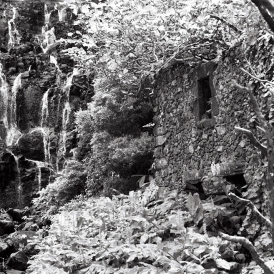 Washi F | bijna infraroodgevoelig zwartwit film | Kleinbeeldfilm | FotoFilmFabriek
