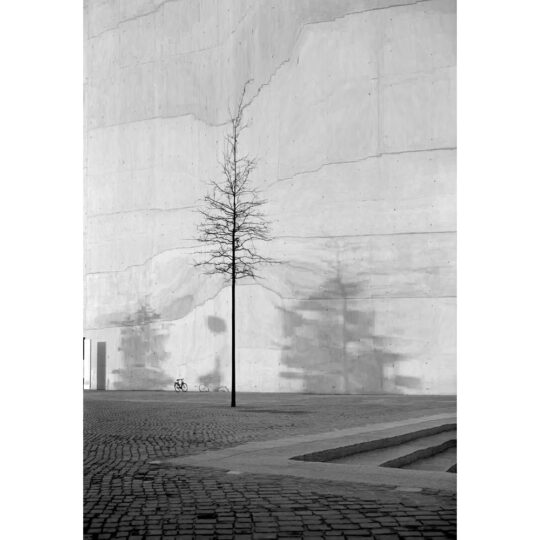 Alternative view of Adox CMS 20 II Kleinbeeldfilm - 135/36