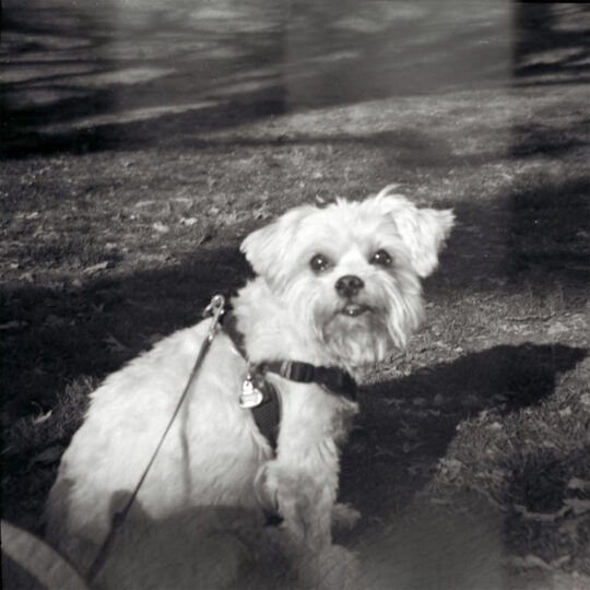 Lomography LomoMod No.1 - DIY Middenformaat camera - Afbeelding 6