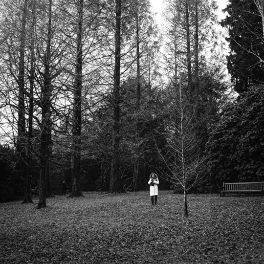 Ilford HP5  Plus - ISO 400 - Rolfilm 120 - Afbeelding 5