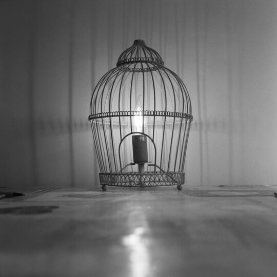Ilford HP5  Plus - ISO 400 - Rolfilm 120 - Afbeelding 3