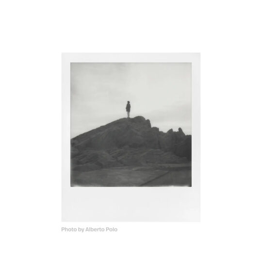 Polaroid B&W SX-70 Film - Afbeelding 5