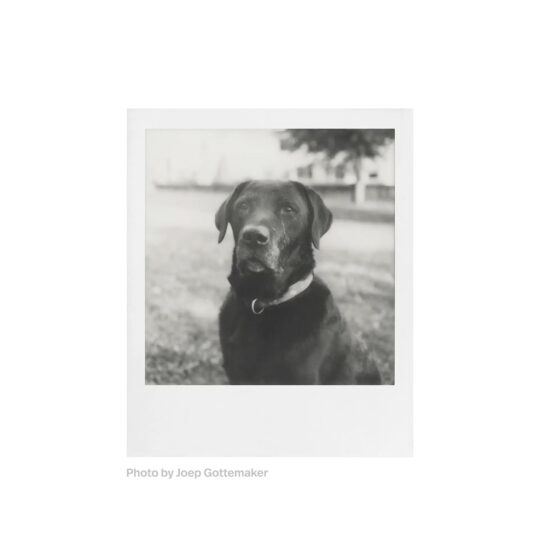 Polaroid B&W SX-70 Film - Afbeelding 4