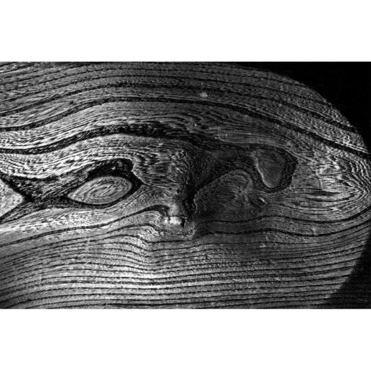 Alternative view of Ilford Pan F Plus Kleinbeeldfilm -  ISO 50 - 135/36