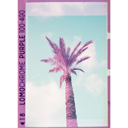 Alternative view of Lomography Lomochrome Purple *Formula-2021* - 110 Pocketfilm