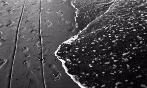 Adox CHS 100 II | 35mm kleinbeeldfilm | 135/36 |