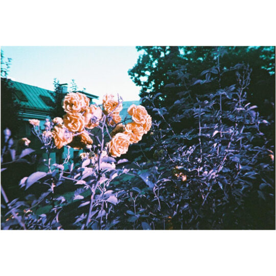 Alternative view of Lomography Simple Use Reloadable Film Camera - Lomochrome Purple