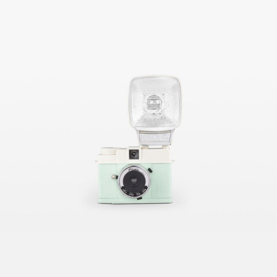 Lomography Diana Mini & Flash - Picnic Edition