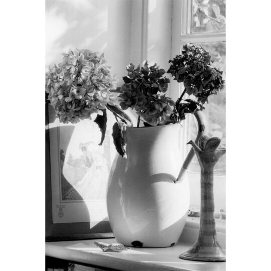 Alternative view of Ilford XP2 Super Kleinbeeldfilm - ISO 400 - 135/36