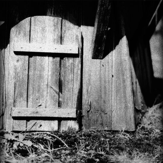 Washi F Middenformaat Röntgenfilm | ISO 100 | Rolfilm 120 - Fluorografische zwart-wit röntgenfilm
