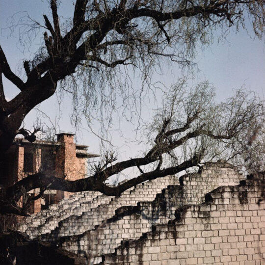 Lomography Lomochrome Metropolis 2021 formula - rolfilm 120 - Afbeelding 7