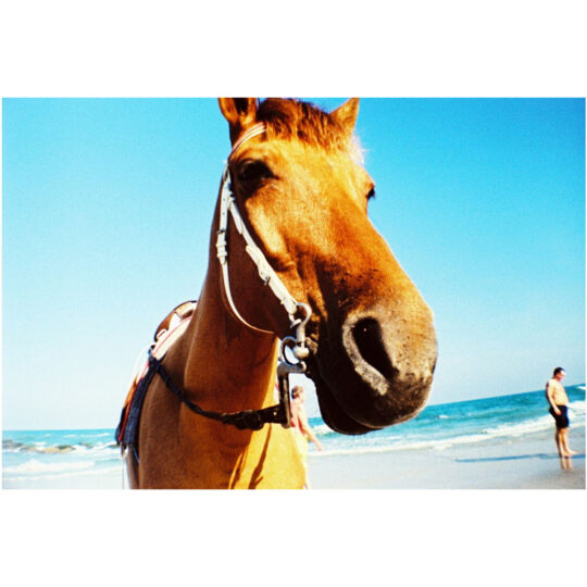 Lomography La Sardina Camera & Flash - Acapulco Caleta - Afbeelding 6