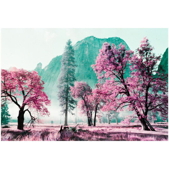 Alternative view of Lomography Lomochrome Purple Pétillant *Formula-2021* Kleinbeeldfilm - 135/36