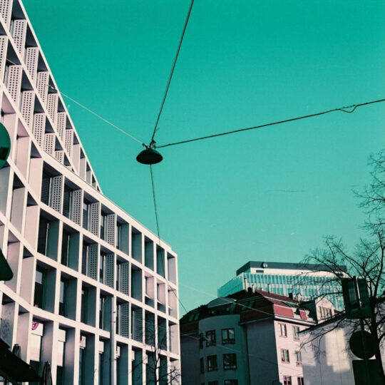 Lomography Lomochrome Purple Pétillant *Formula-2021* - 120 rolfilm - Afbeelding 4