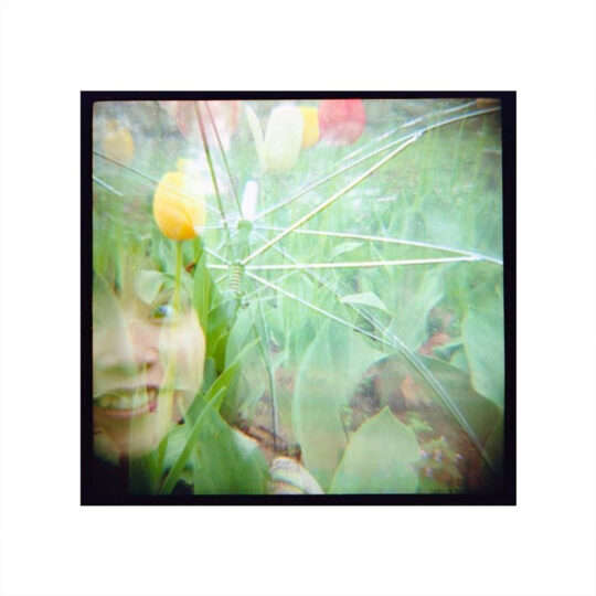 Lomography Color Negative 800 - Rolfilm 120 - Afbeelding 4