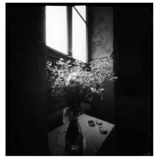 Alternative view of Ilford Direct Positive Paper - 10,2x12,7cm (4x5") / 25 vel