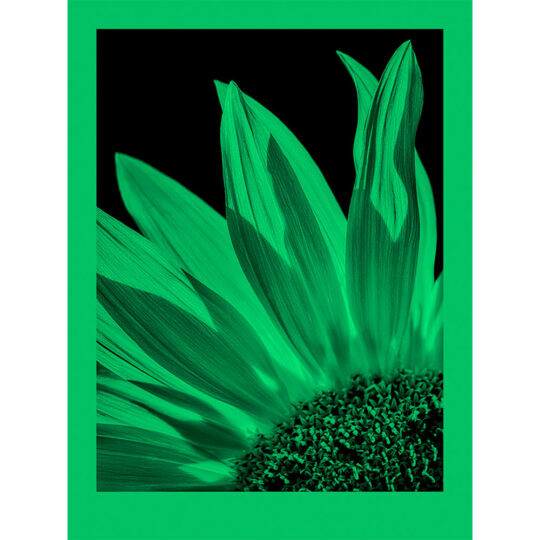 Alternative view of Foma Fomapastel MG 151 Green -  20×25 cm (8×10″) / 10 vel