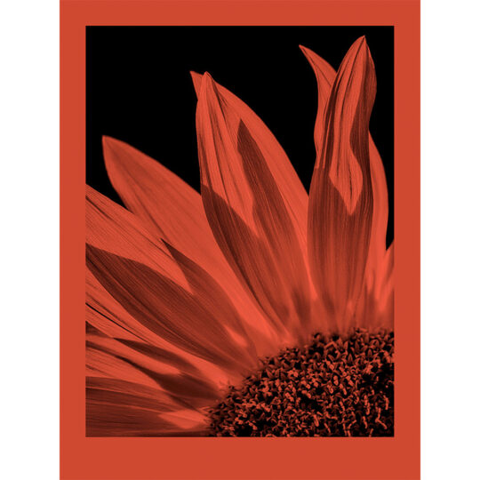 Alternative view of Foma Fomapastel MG 171 Red - 20x25 cm (8x10") / 10 vel