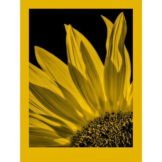 Alternative view of Foma Fomapastel MG 101 Yellow - 20×25 cm (8×10″) / 10 vel