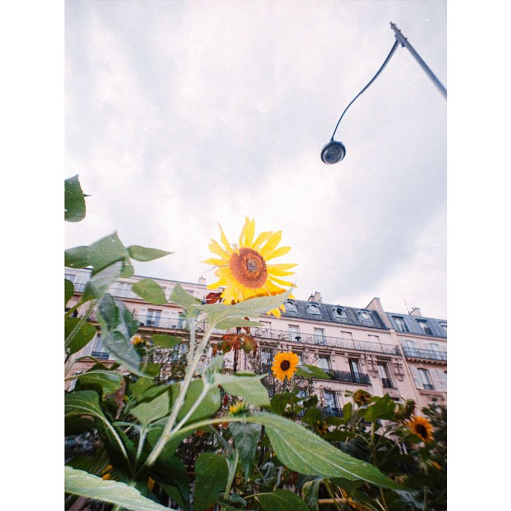 Lomography LomoApparat 21 mm Wide-angle Camera - Paris Edition - Afbeelding 9