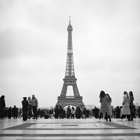 Alternative view of Ilford XP2 Super - ISO 400 - Rolfilm 120