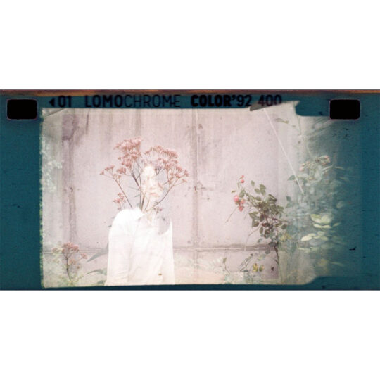 Alternative view of Lomography Lomochrome Color '92 Sun-kissed - Pack of 3 - 110 Pocketfilm
