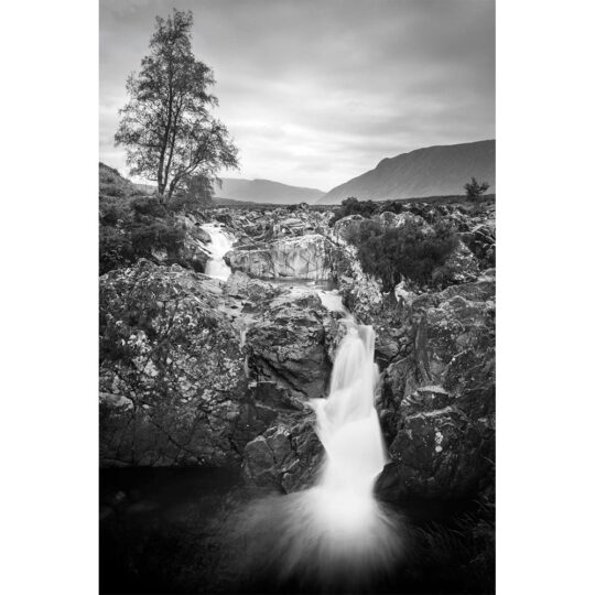 Alternative view of Ilford Ortho Plus Kleinbeeldfilm - ISO 80 - 135/36