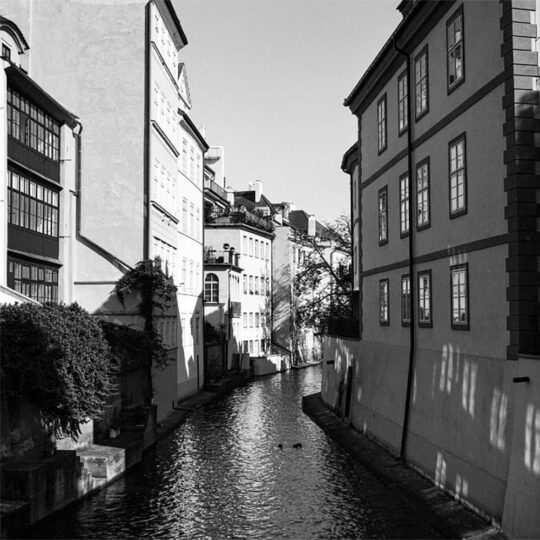 Alternative view of Ilford Ortho Plus - ISO 80 - Rolfilm 120