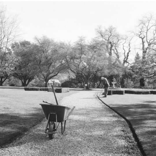 Alternative view of Kentmere Pan 200 - Rolfilm 120