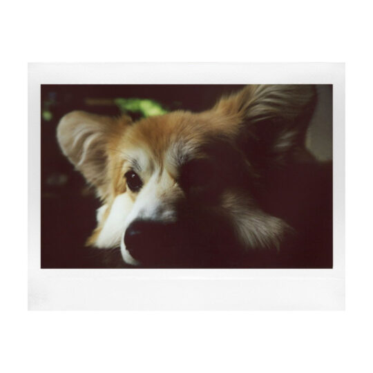Lomography Lomo’Instant Wide Glass Black - Afbeelding 8