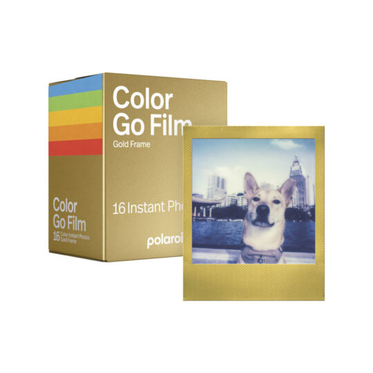 Polaroid Go Color Film Double Pack – Gold Frame