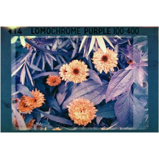 Lomography Analogue Pocket Trio - 110 Pocketfilm - Afbeelding 5