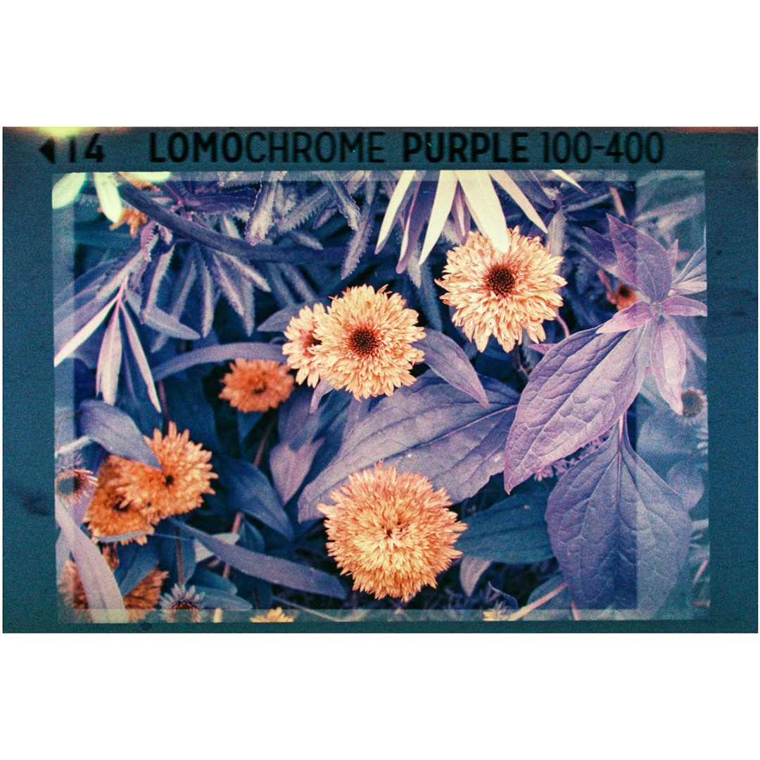 Lomography Analogue Pocket Trio - 110 Pocketfilm - Afbeelding 5