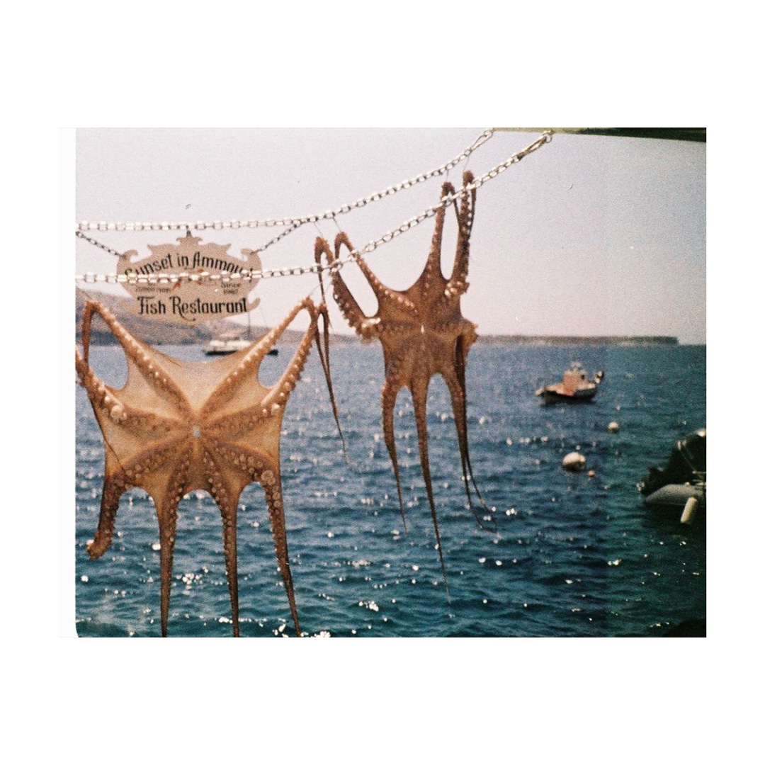 Lomography Analogue Pocket Trio - 110 Pocketfilm - Afbeelding 8