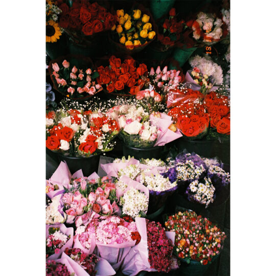 Lucky Color 200 Kleinbeeldfilm - 135/36 - Afbeelding 3