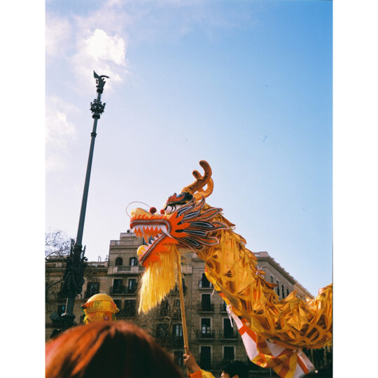Lucky Color 200 Kleinbeeldfilm - 135/36 - Afbeelding 7