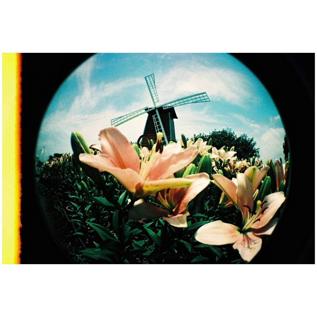 Lomography Fisheye No. 2 - Rodeo Denim Camera - Afbeelding 9