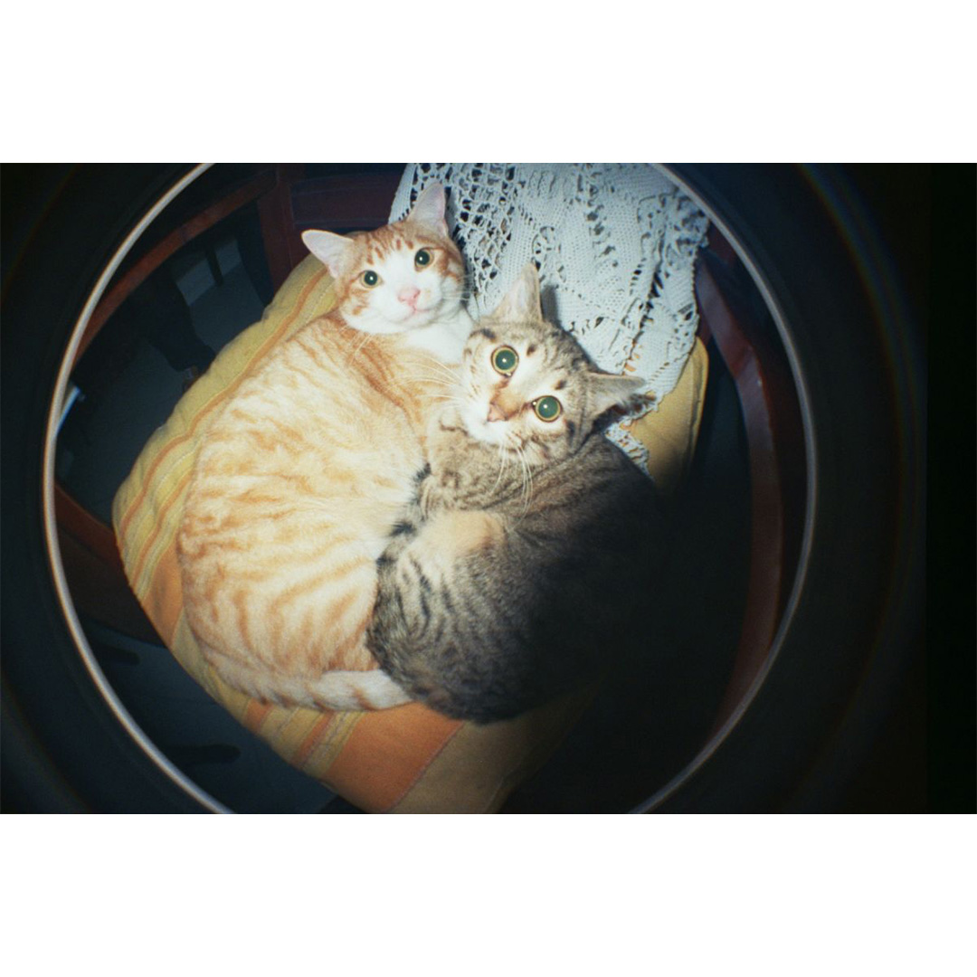 Lomography Fisheye No. 2 - Rodeo Denim Camera - Afbeelding 8